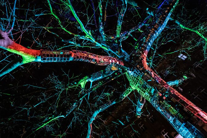 Cerebri Tree