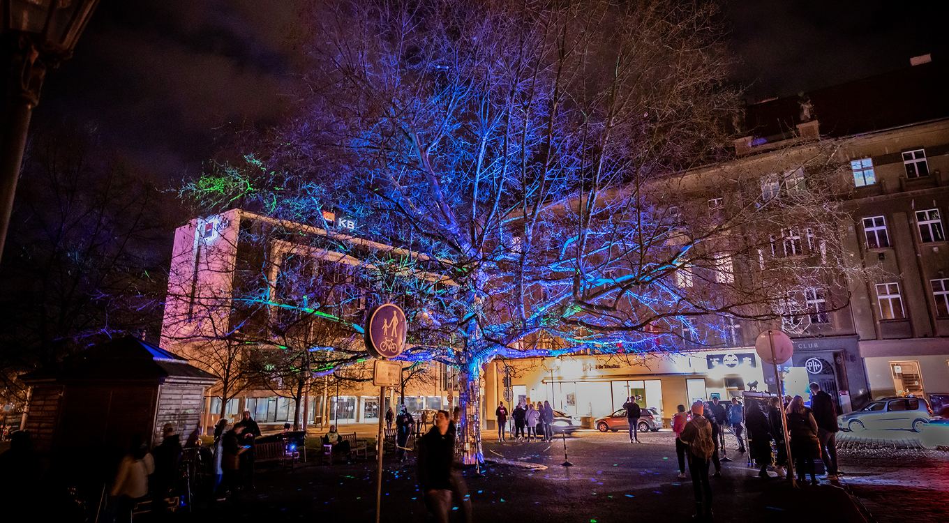 Cerebri Tree