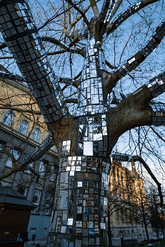 Cerebri Tree